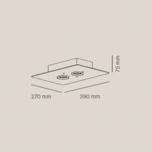 Equal Twin Ceiling Light gallery detail image