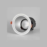 Anti-Glare Adjustable Downlight