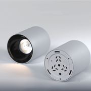 IP54 surface mounted light
