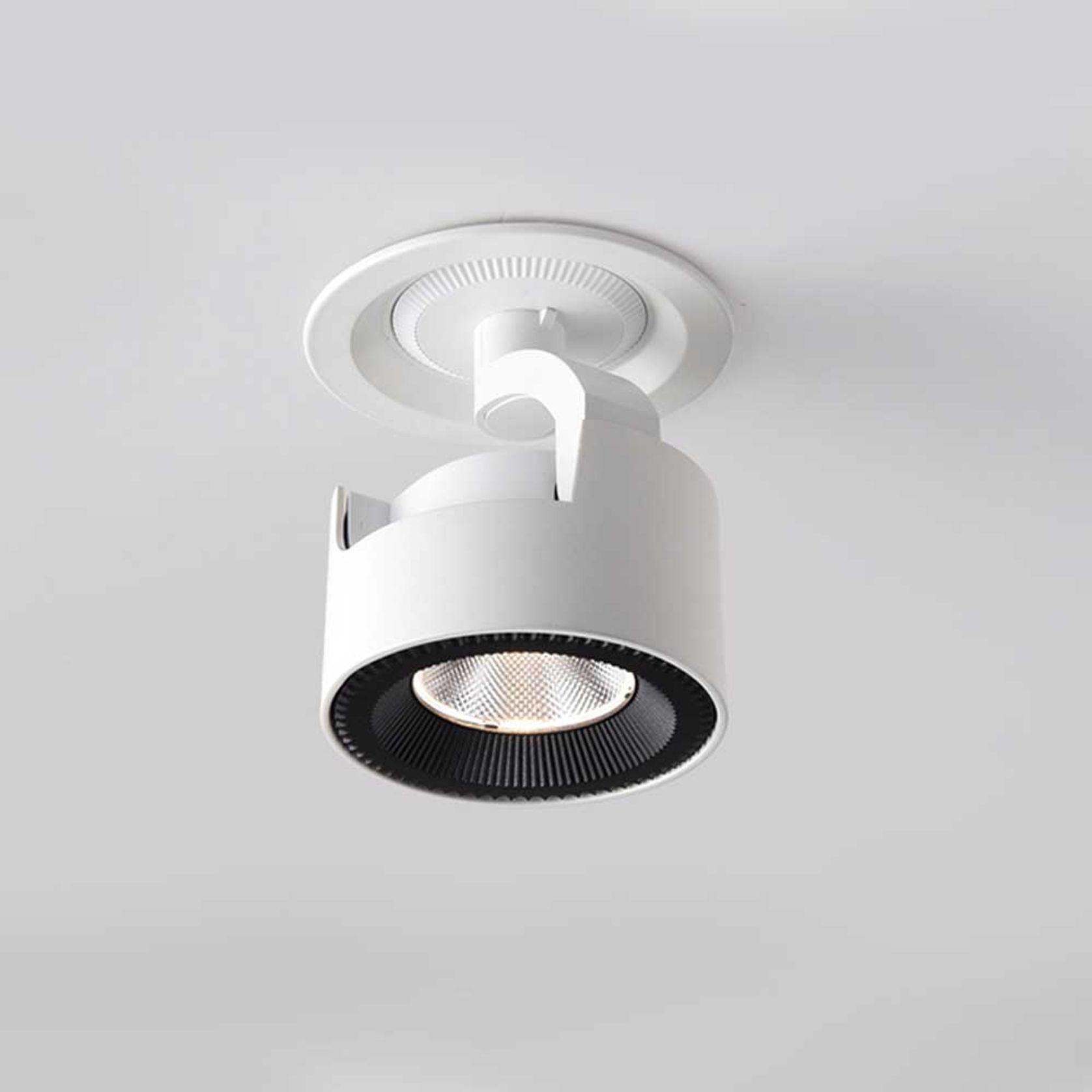 White adjustable downlight
