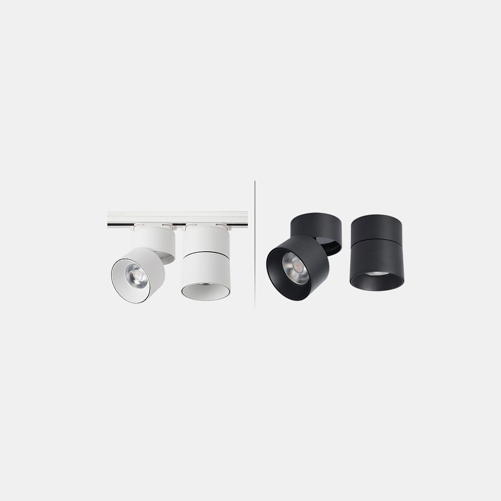track light and surface mount light
