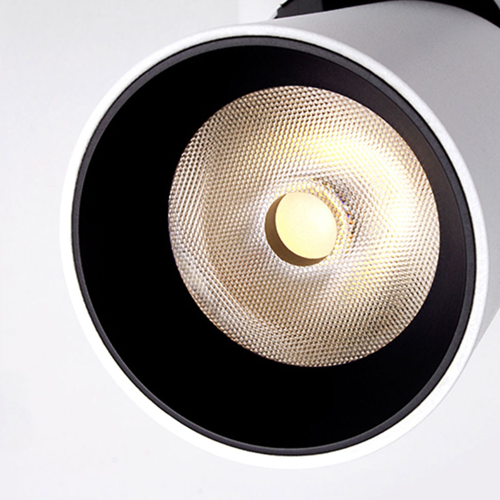 Adjustable Downlight