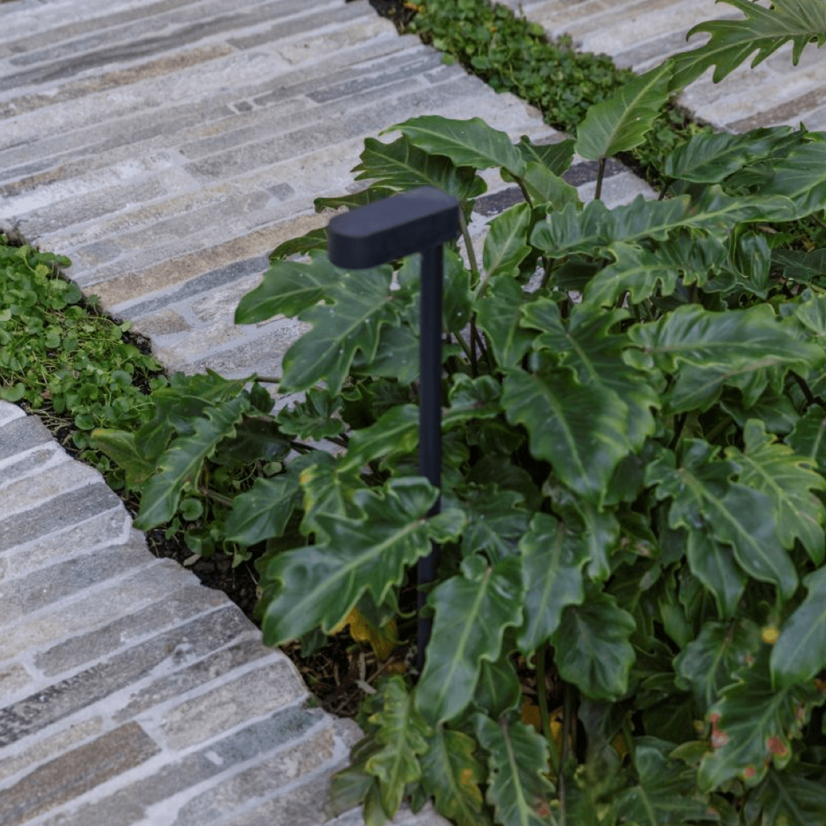 Euro Filetti Paving gallery detail image