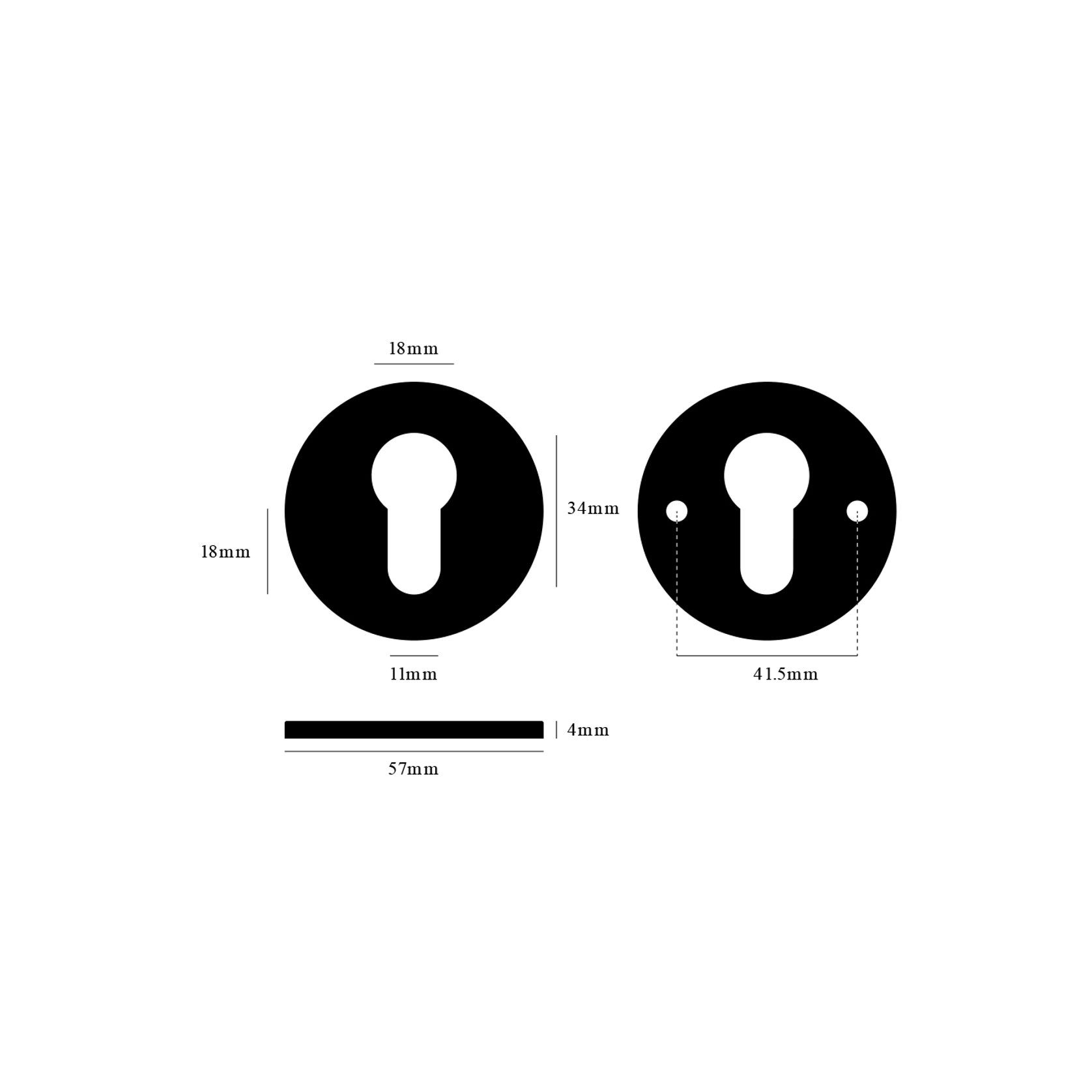 Buster and Punch Escutcheon Plate Euro Profile gallery detail image