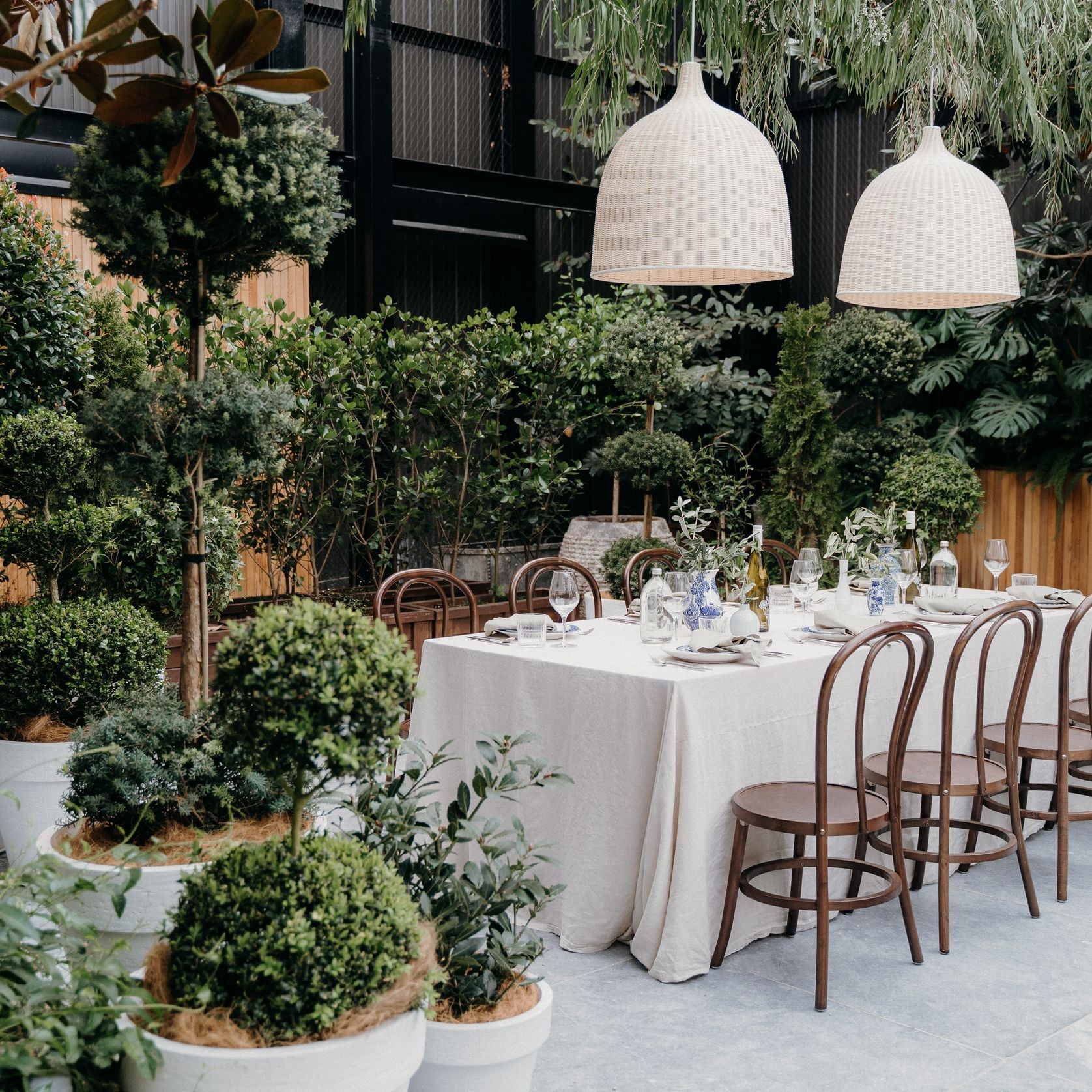 Plant Hire For Events | Hire Plants gallery detail image