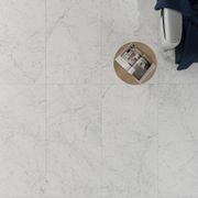 Euromarmo Carrara Venatino Honed gallery detail image