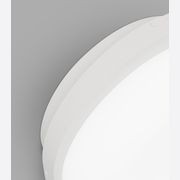 Bode Round Wall/Ceiling Light gallery detail image