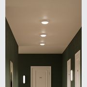 Bode Round Wall/Ceiling Light gallery detail image
