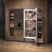 Gaggenau Built-in Fridge 400 Series Soft Close gallery detail image