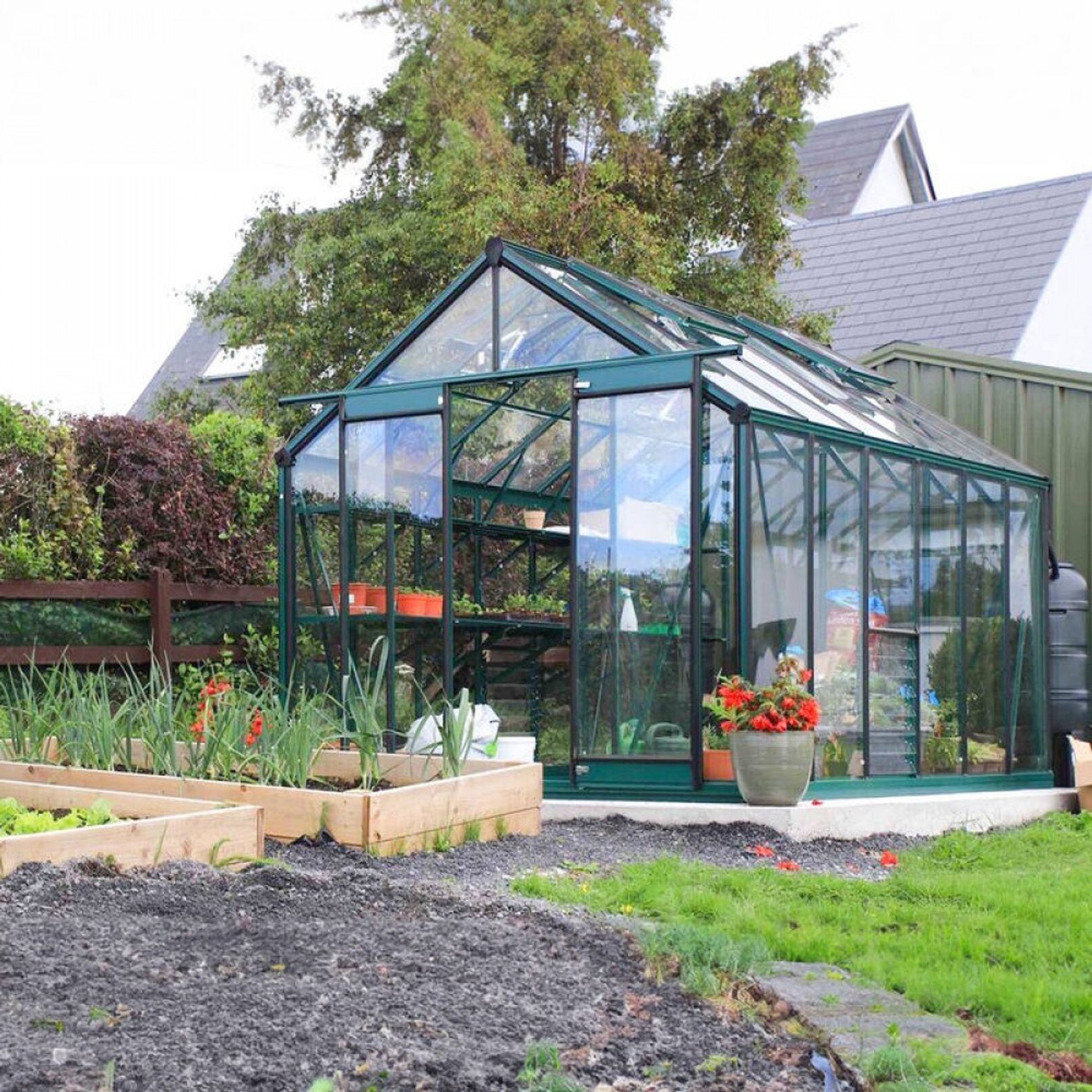 Glasshouse 4mm Tempered Glass | FW-DL0812 gallery detail image