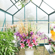 Ultimate Greenhouse 6mm Twin Wall 3000 x 6000mm gallery detail image