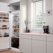 Evisys | Integrated Refrigerator Hinge gallery detail image