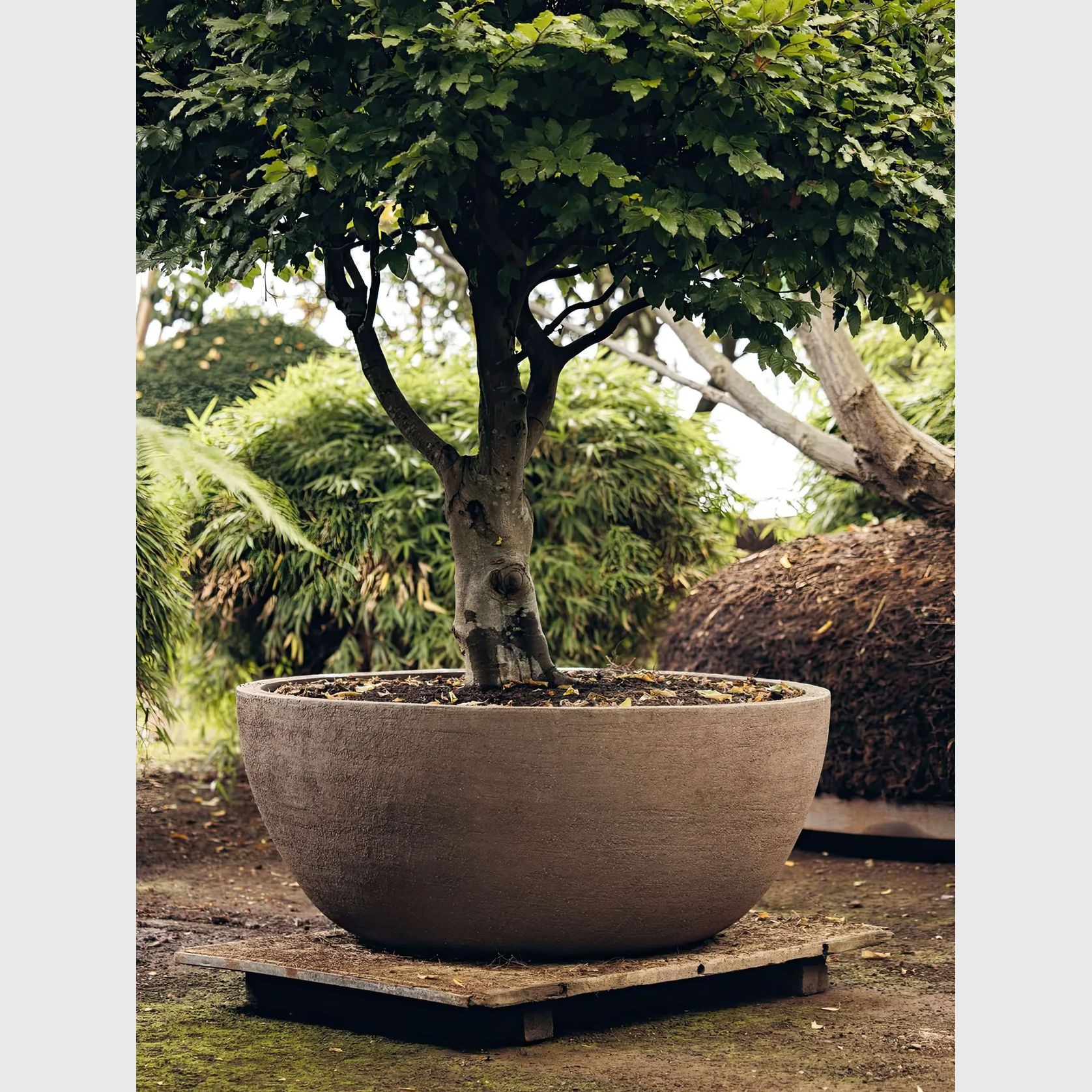 Texel Planter gallery detail image