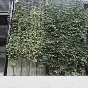 Green Wall Support Systems gallery detail image