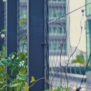Green Wall Support Systems gallery detail image
