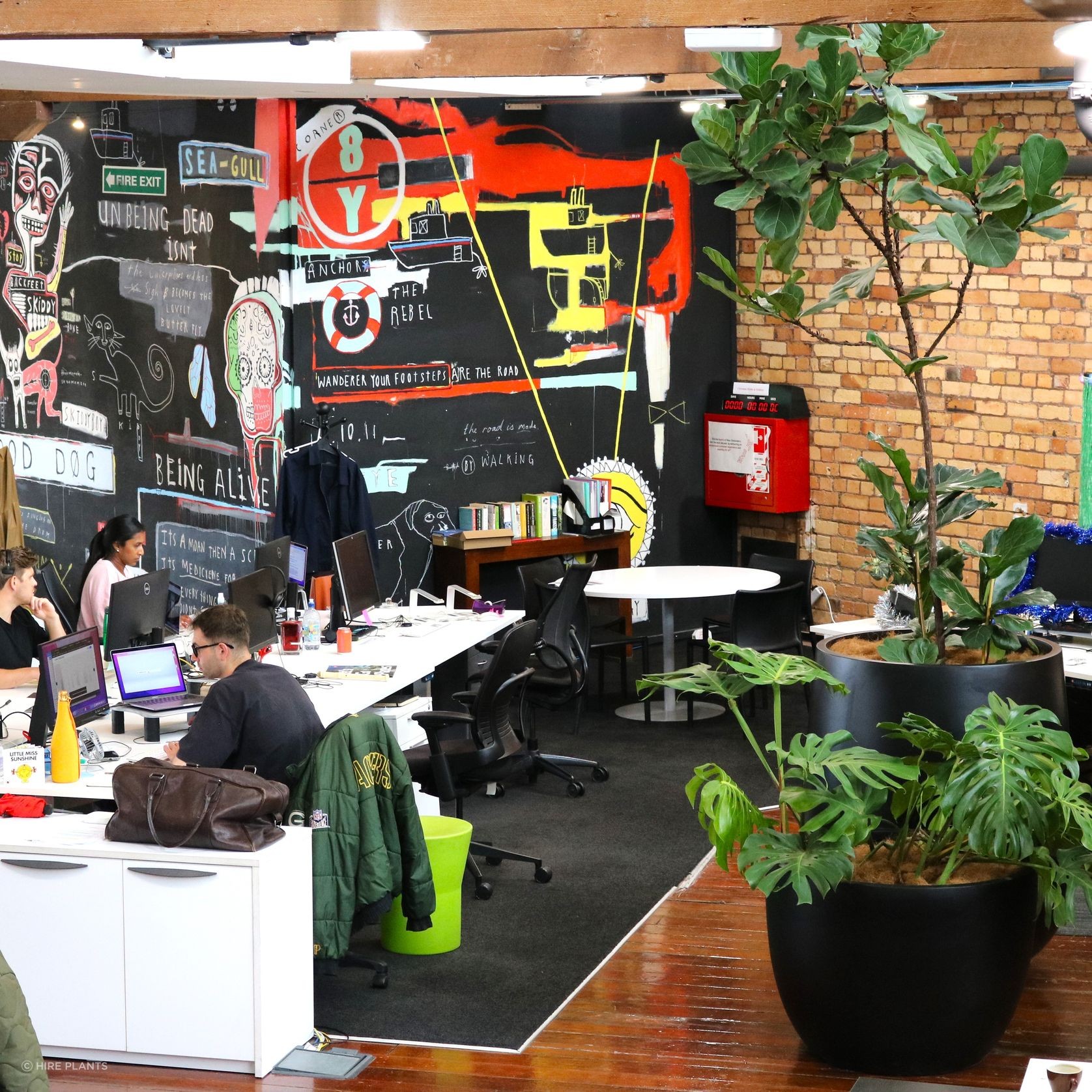 Indoor Plant Hire | Hire Plants gallery detail image