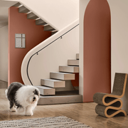 Dulux Clay Pipe Paint gallery detail image