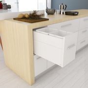 Tanova Designer Series 2 Pull Out Kitchen Bins gallery detail image