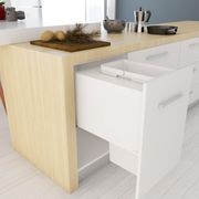 Tanova Designer Series 2 Pull Out Kitchen Bins gallery detail image