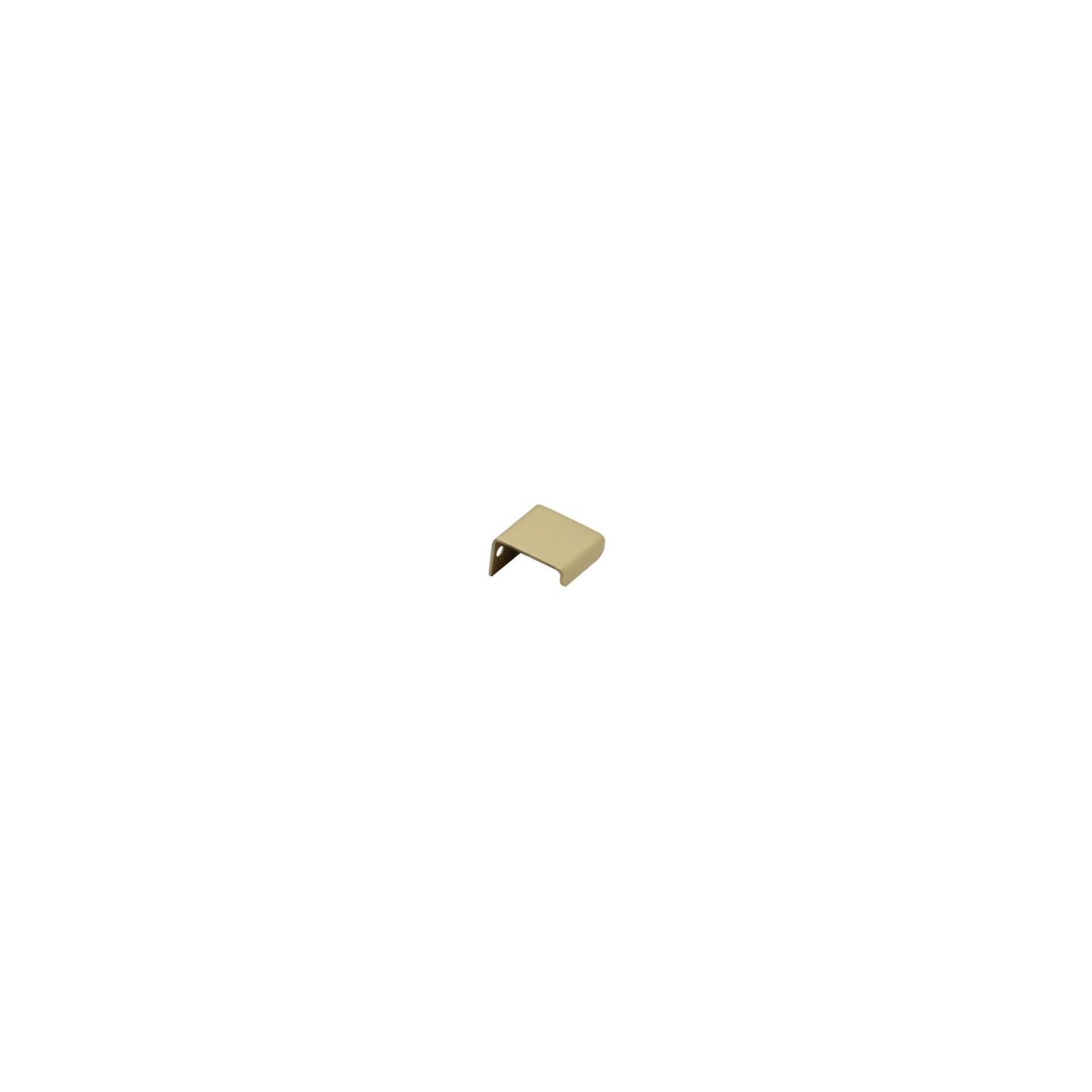 Ottone Brass Lip Pull | Handles gallery detail image