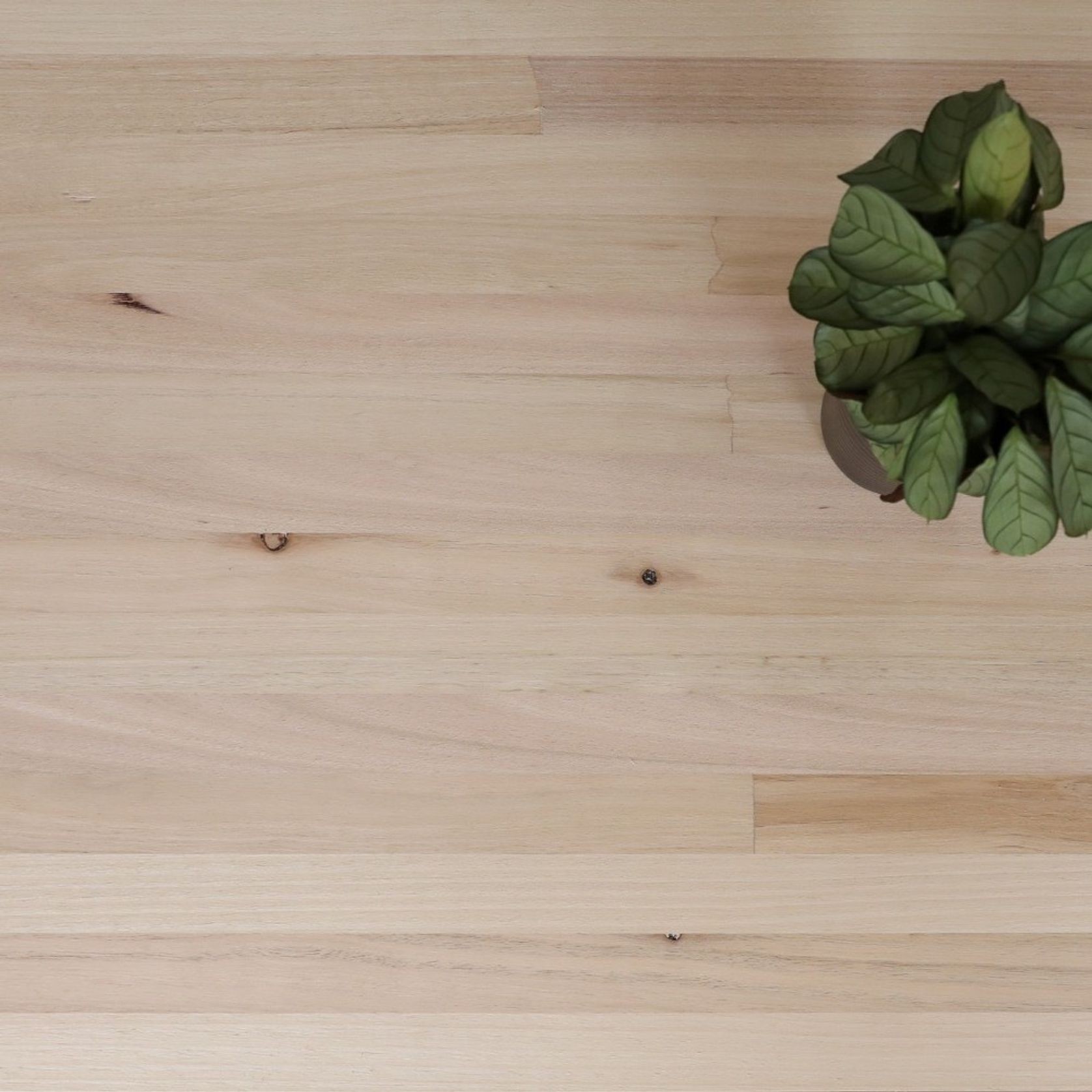 Timber Benchtops & Panels gallery detail image