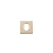 Oval Door Escutcheon gallery detail image