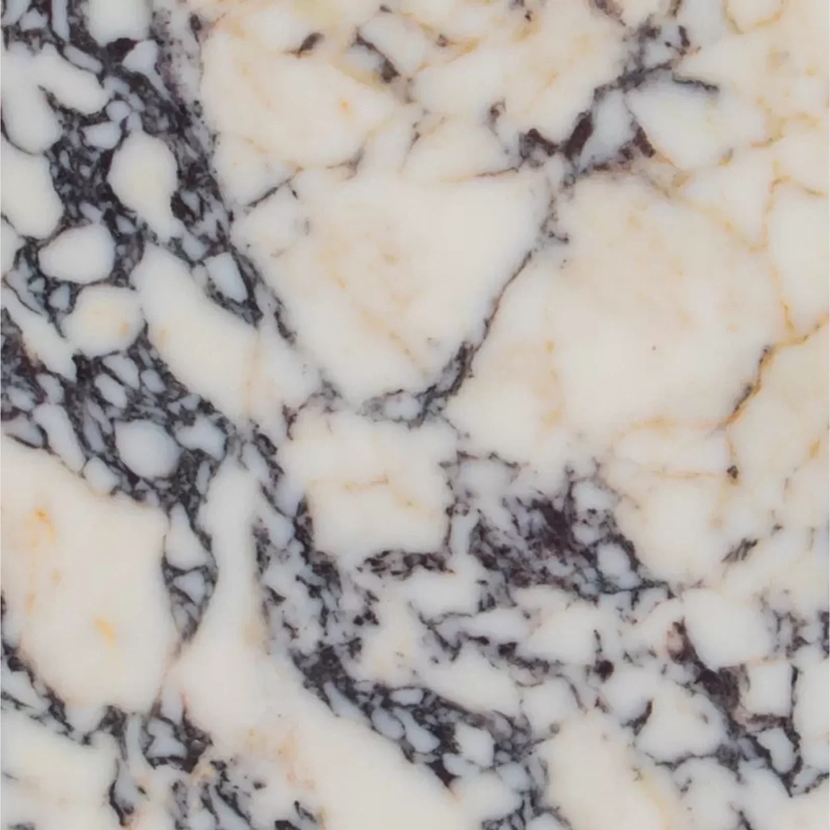 Marble Collection gallery detail image