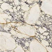 Calacatta Viola Extra | Natural Stone gallery detail image
