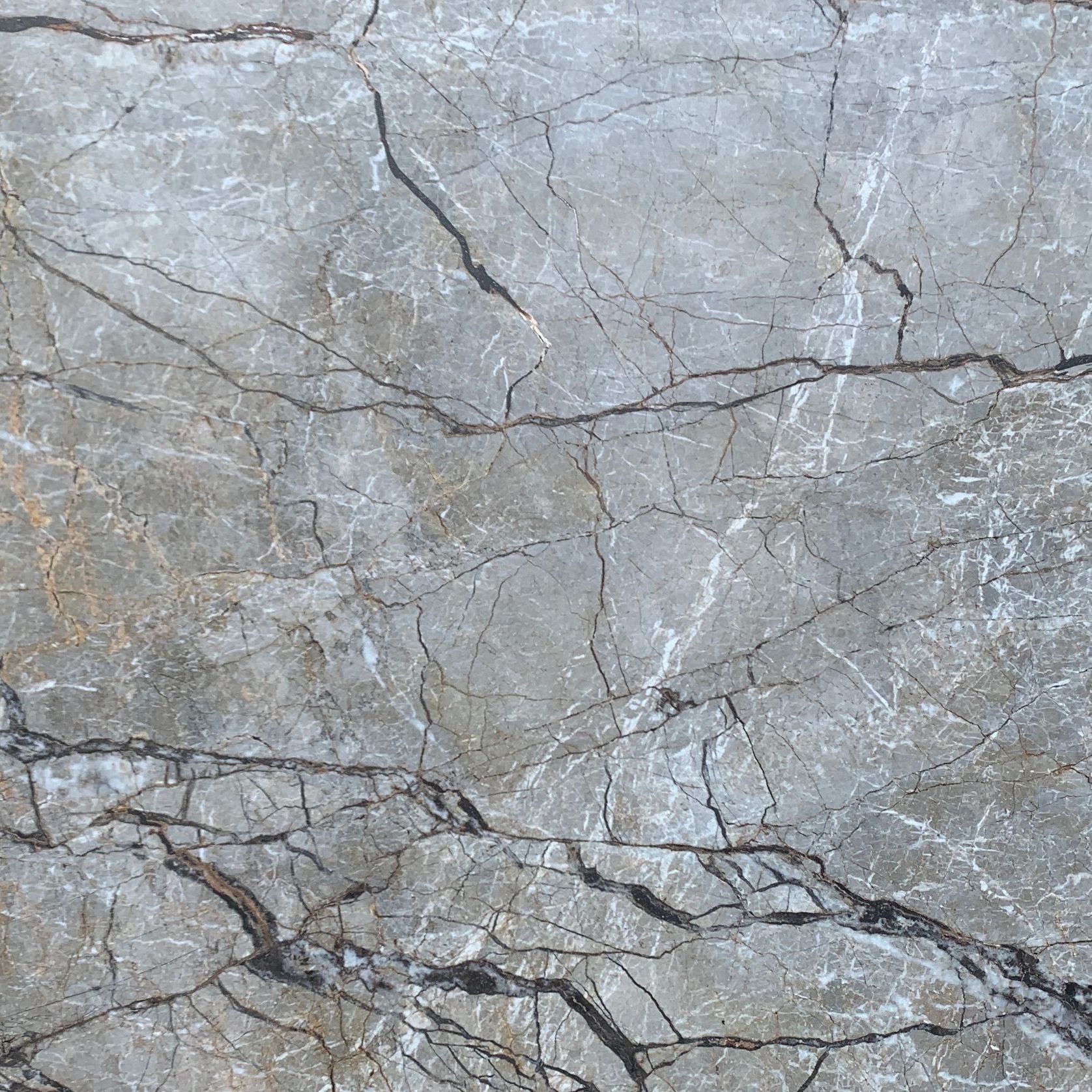 Silver Roots | Marble gallery detail image
