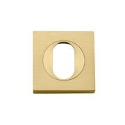 Oval Escutcheon - Square gallery detail image