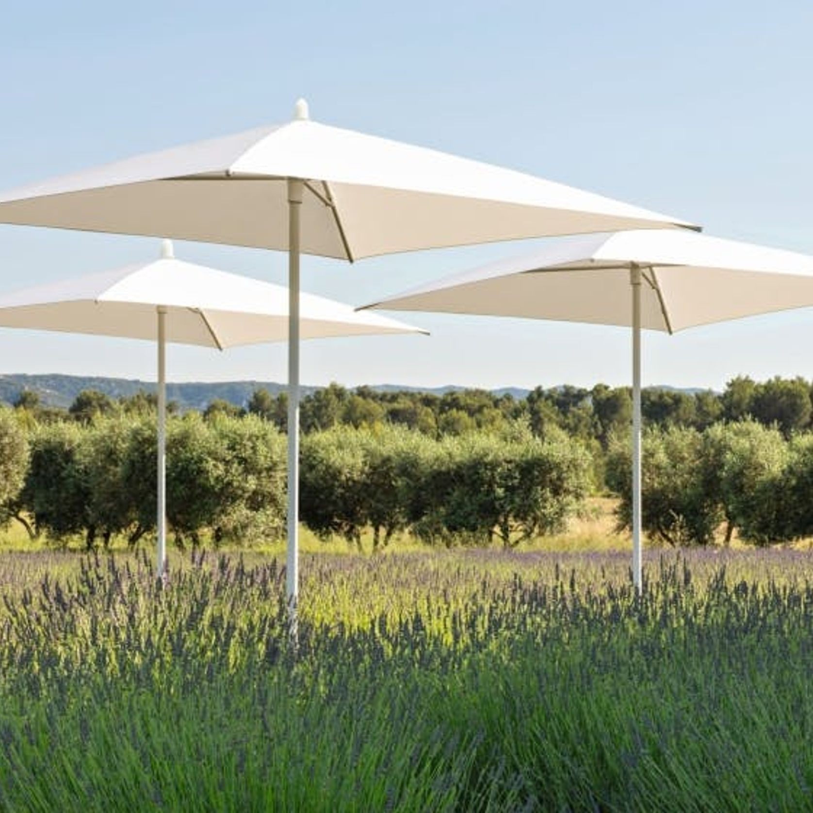 Paxi Parasol 200cm gallery detail image
