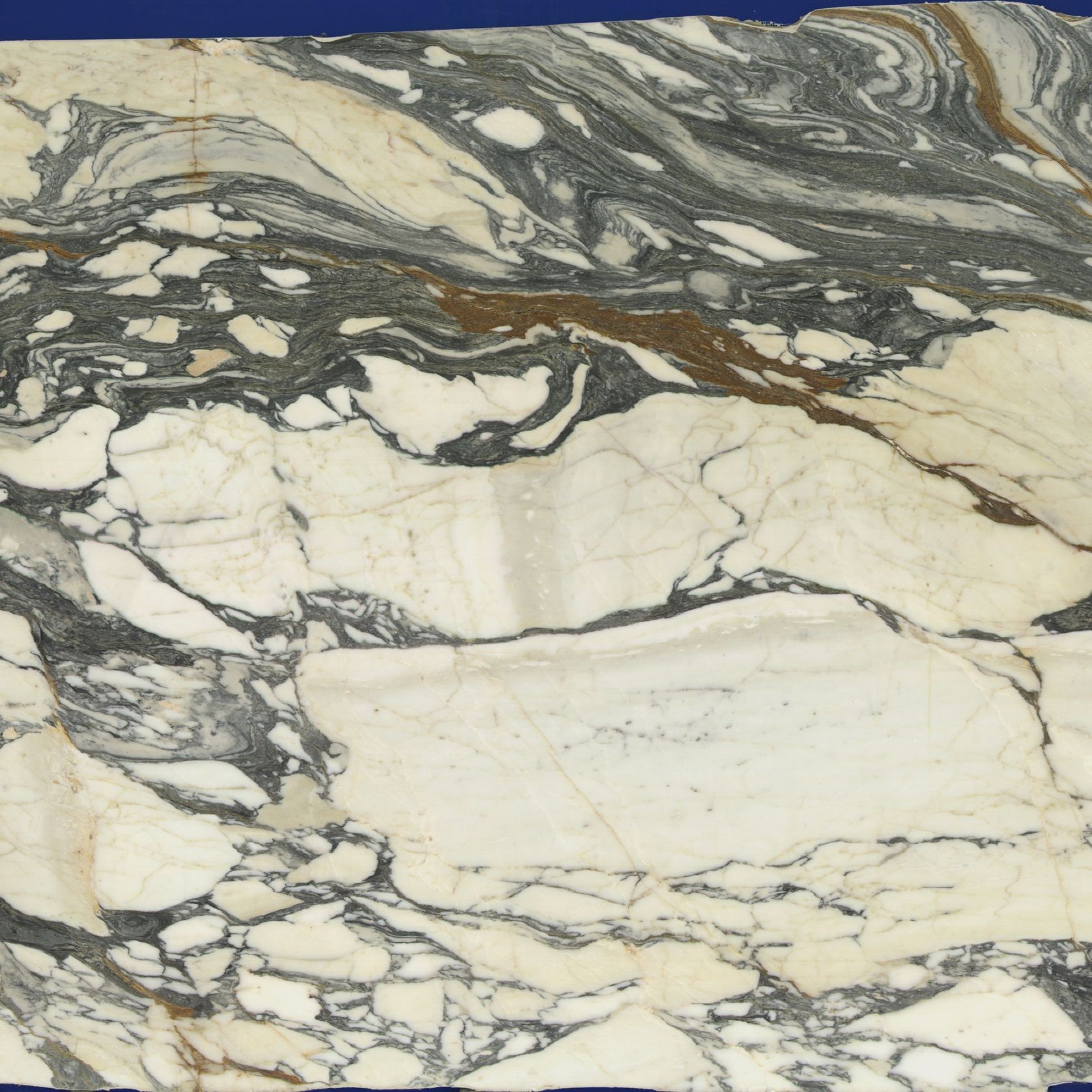 Arabescato | Marble gallery detail image