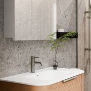 Luxe 600mm Mirror Cabinet With Demister | 2 Door gallery detail image