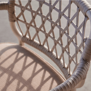 Curio Dining Chair gallery detail image