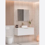Pavia 900 Mirror Cabinet gallery detail image