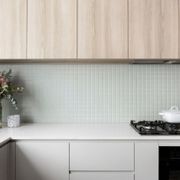 Plimepaplika Pastel Green Matt Mosaic 45 gallery detail image