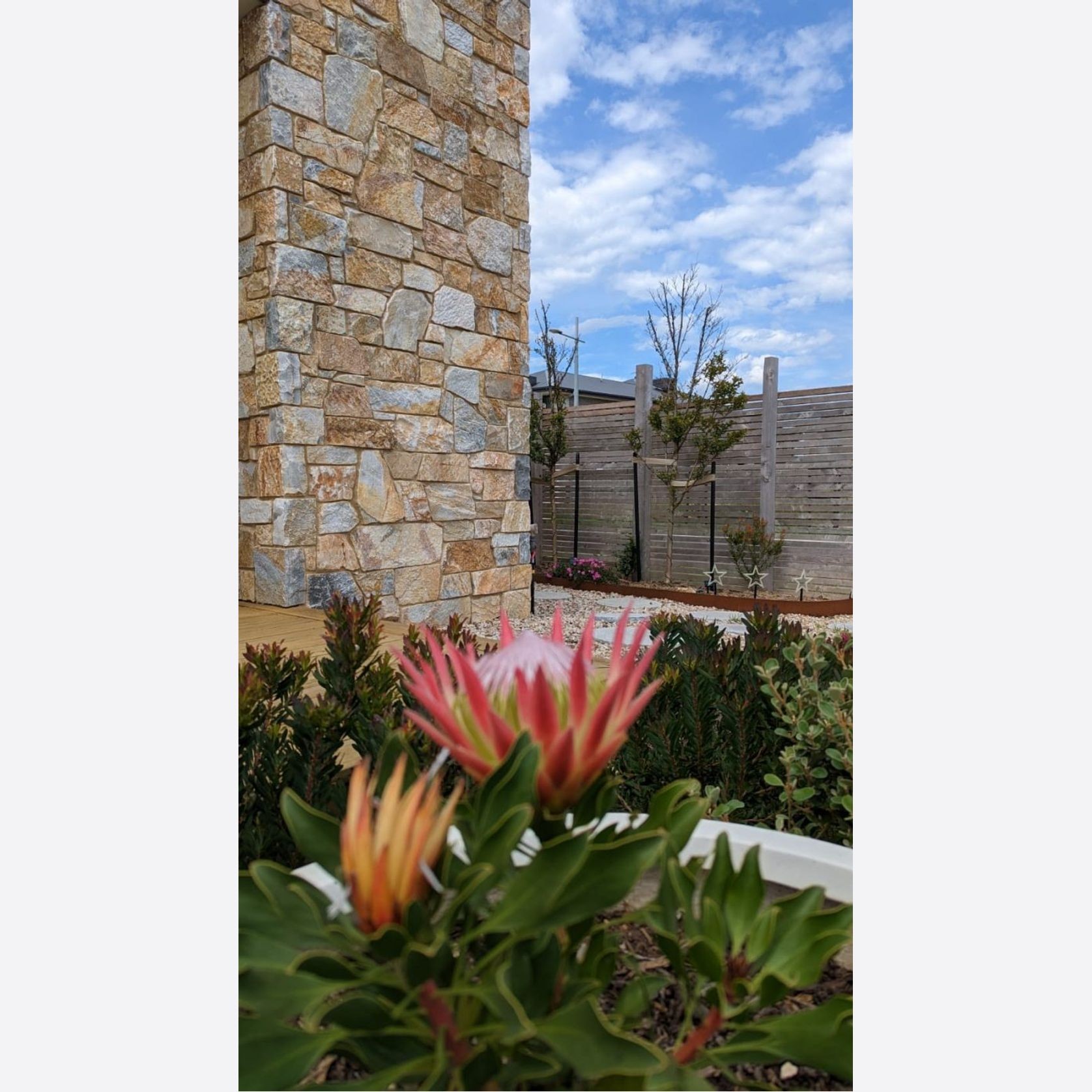 Airlie Stone Wall Cladding gallery detail image