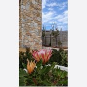 Airlie Stone Wall Cladding gallery detail image