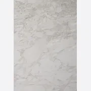 Arabescato Pirgon Dolomite Benchtop gallery detail image
