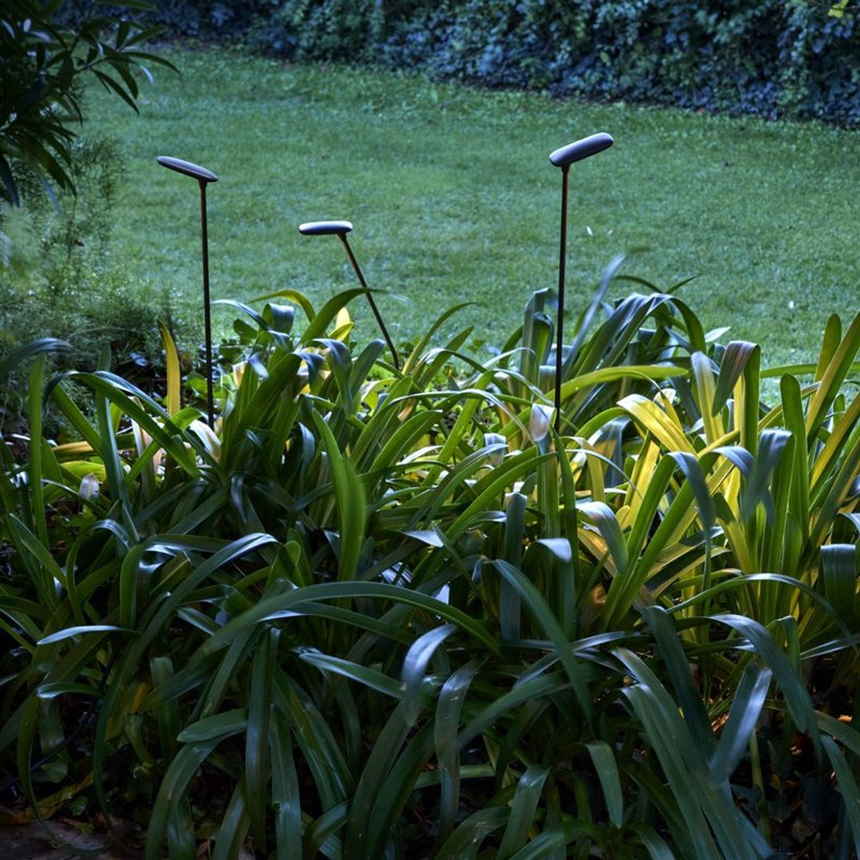 Birdie 2-Light Set Garden Light gallery detail image