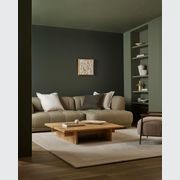 Baya Linden Cushion - Linen gallery detail image