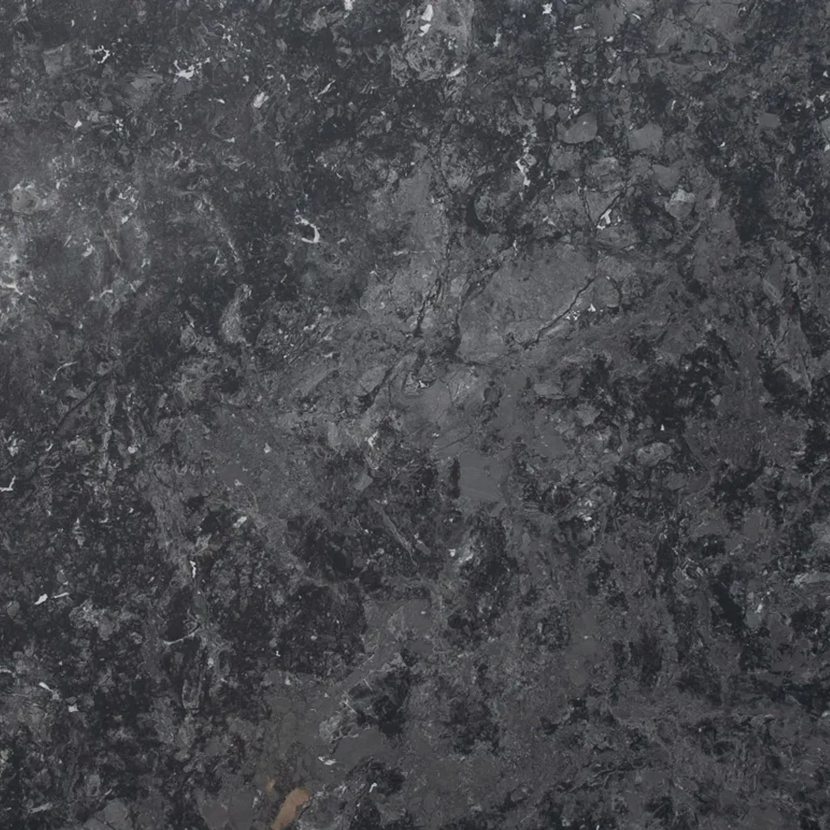 Calacatta Black Quartzite Benchtop gallery detail image