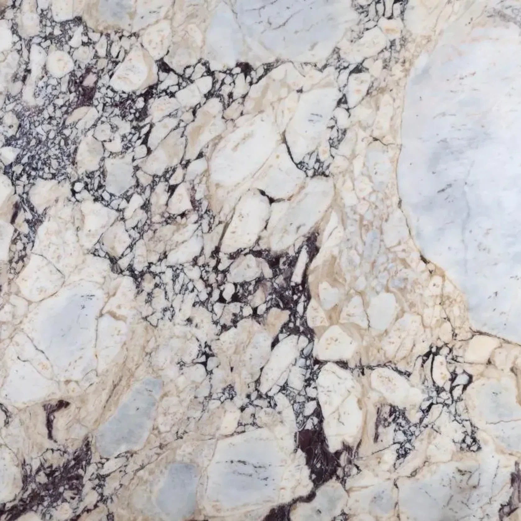 Calacatta Viola Marble Benchtop gallery detail image