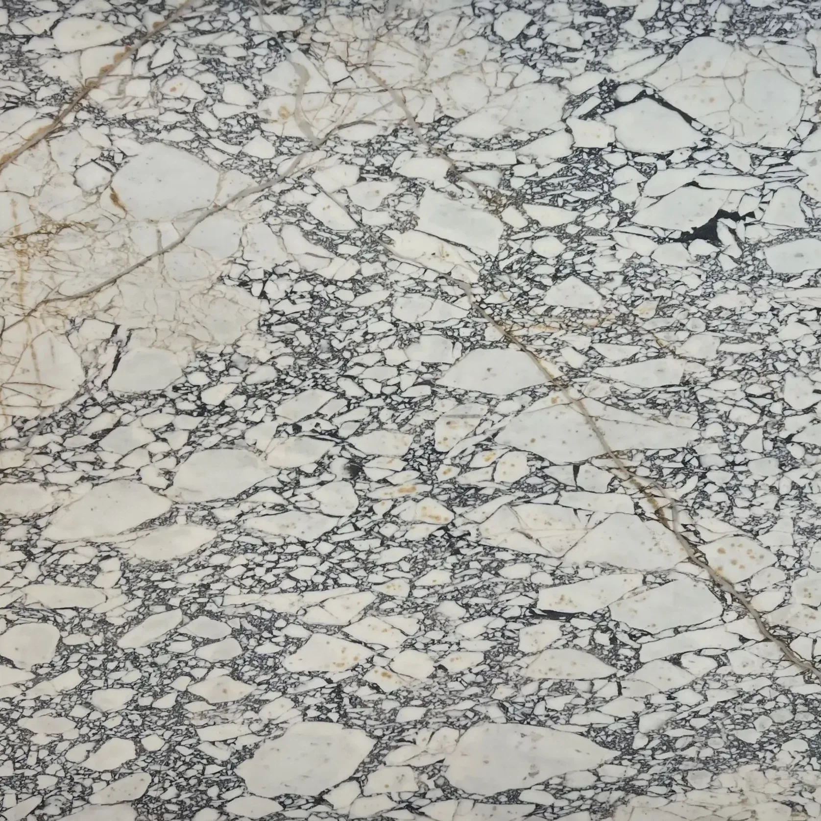 Calacatta Viola Marble Benchtop gallery detail image