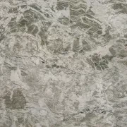 Cartier Quartzite Benchtop gallery detail image