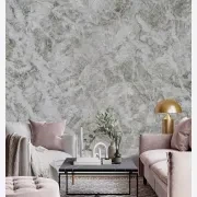 Cartier Quartzite Benchtop gallery detail image