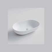 Cove 530 Oval Concrete Basin gallery detail image