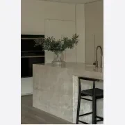 Taj Mahal Quartzite Benchtop gallery detail image