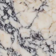 Calcatta Viola | Marble Collection gallery detail image