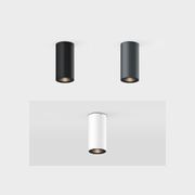Down.3 R Surface Mounted Downlight gallery detail image
